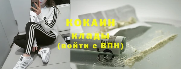 молекула духа Пестово
