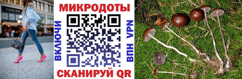 ссылка на мегу вход  Снежногорск  Галлюциногенные грибы ЛСД 